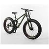 Image 1 : Cycle Connect NS-F01 Green 26x4 Bike