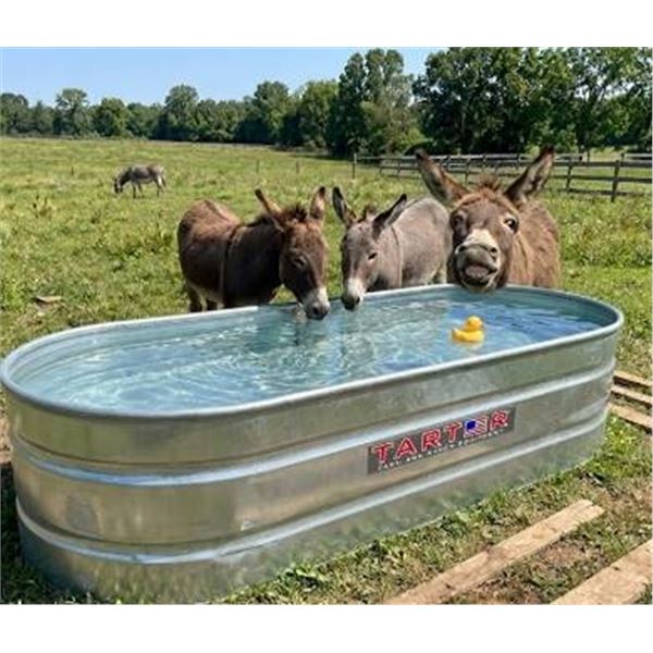 Tarter Oval Mega 300 Galvanized Tank