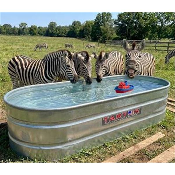 Tarter Oval Mega 300 Galvanized Tank