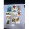 Image 1 : Lot of 12 Vintage Postcards 7 Cowboy and 5 RCMP