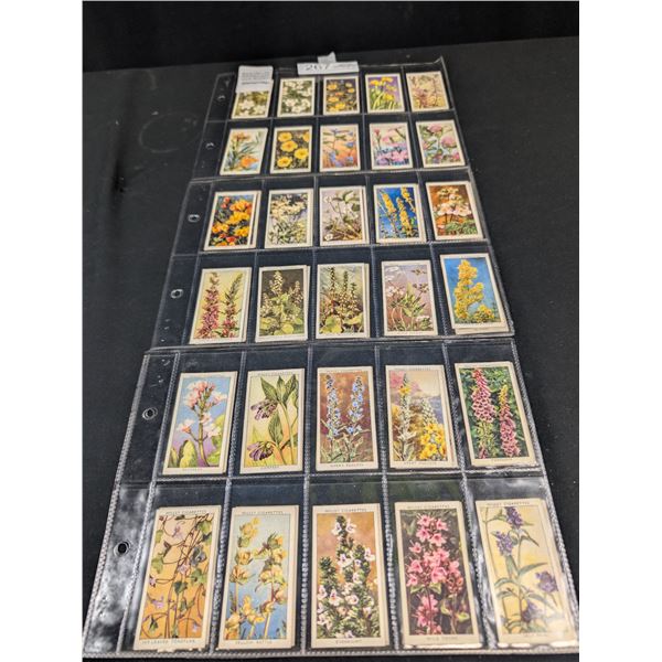 Complete Set of Wild Flowers Cigarette Cards by WD and HD Wills