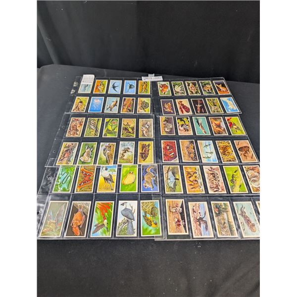 Complets Set of Incredible Creatures Brooke Bond Tea Cards