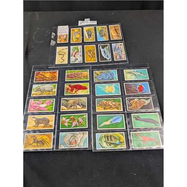 Full Set of Brooke Bond OXO Incredible Creatures