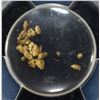 Image 2 : CALIFORNIA GOLD RUSH NUGGETS S.S. CENTRAL AMERICA