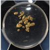 Image 3 : CALIFORNIA GOLD RUSH NUGGETS S.S. CENTRAL AMERICA