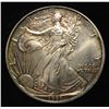 Image 1 : 1993 AMERICAN SILVER EAGLE