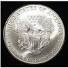 Image 2 : 2000 AMERICAN SILVER EAGLE COLORIZED