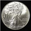 Image 1 : 2010 AMERICAN SILVER EAGLE