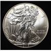 Image 1 : 2013 AMERICAN SILVER EAGLE