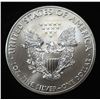 Image 2 : 2013 AMERICAN SILVER EAGLE
