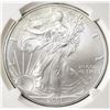 Image 2 : 2001 AMERICAN SILVER EAGLE MS69