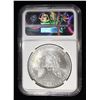 Image 4 : 2001 AMERICAN SILVER EAGLE MS69