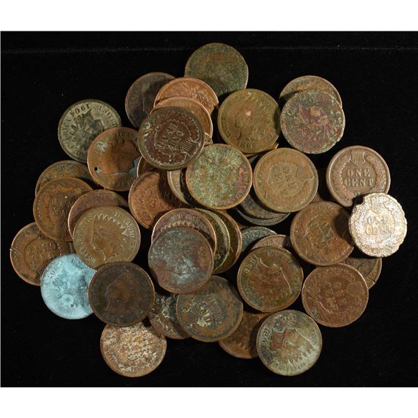 (50) INDIAN HEAD CENTS