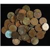 Image 1 : (50) INDIAN HEAD CENTS