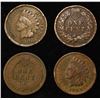 Image 2 : (50) INDIAN HEAD CENTS