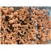 Image 2 : 100 Pcs Mini Plastic Babies - For Ice Cubes (Baby Shower)