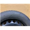 Image 4 : Continental Spare Tire - 155 / 80 / R19 - Radial