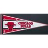 Image 2 : 1988 Chicago Bulls Autographed Framed Pennant With 6 Signatures Including Michael Jordan BECKETT