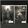 Image 1 : LOT OF 2 1:7 RETAILER INCENTIVE COMICS