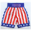 Image 1 : MICHAEL B JORDAN SIGNED CREED BOXING TRUNKS (BECKETT COA)