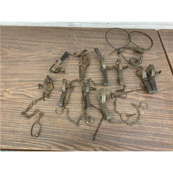 Lot of 10 Vintage Antique Spring Leg Animal Traps Champion, Victor, etc