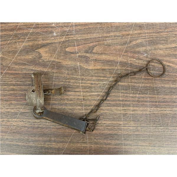 Diamond Brand No 21 Antique Spring Leg Trap