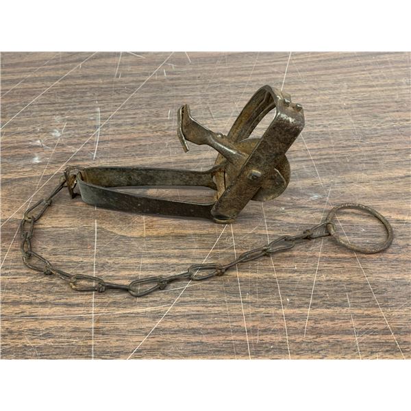 Triumph No 215 X Triple Clutch Antique Animal Spring Trap
