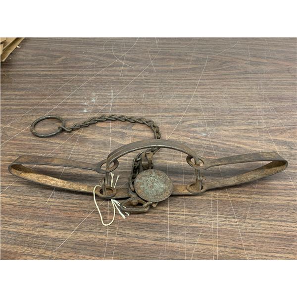 Triumph No 4 Antique Leg Animal Spring Trap