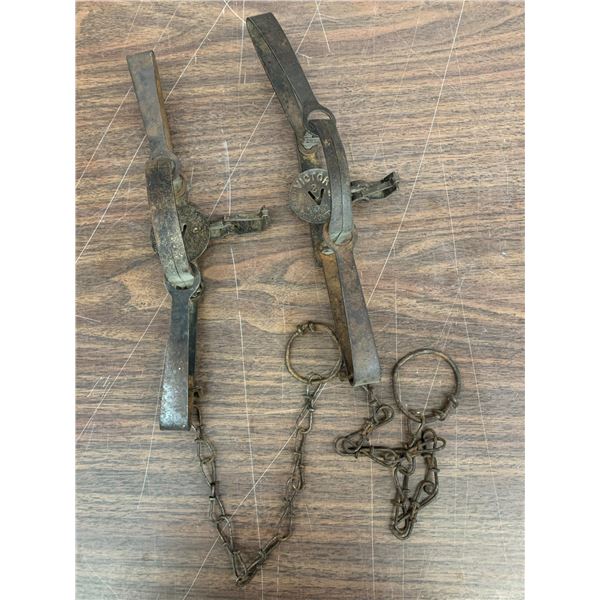 Lot of 2 Oneida Victor No 2 Antique Animal Spring Leg Traps