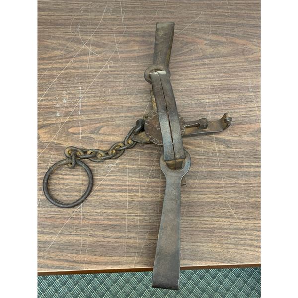 Oneida Newhouse No 50 Antique Small Bear Trap