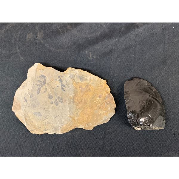 Lot of 2 Rock Specimen with Plant Impressions? & Slate Carved Primitive Tool?