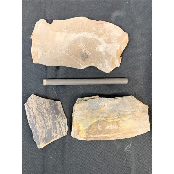 4pcs Stone Specimens, Petrified Wood, Rod