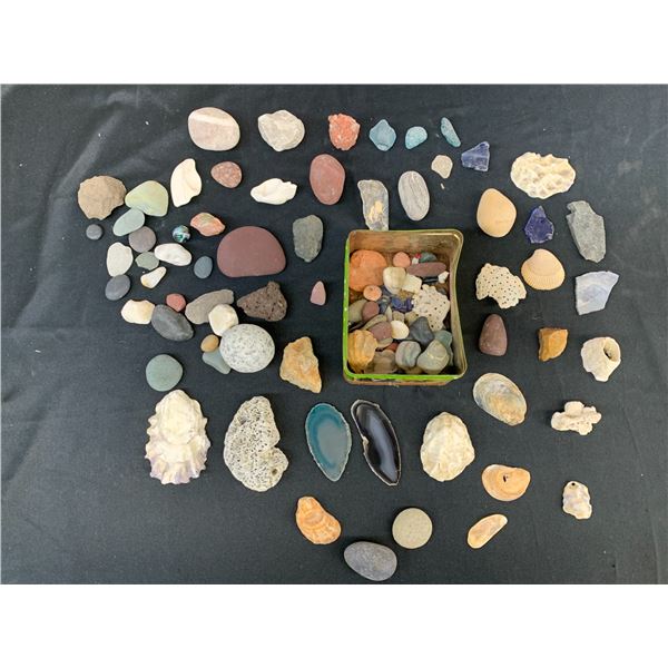 Lot of Sea Glass, Stones, Shells, Raw Minerals, ect
