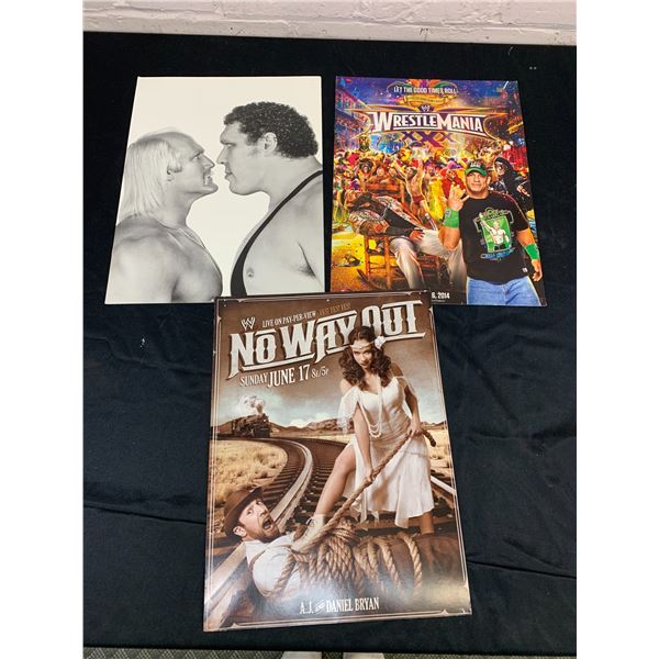Lot of 3 Television Pay-Per-View Advertisement Posters 12" x 16" WWE WWF Wrestling Related