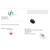 Image 3 : 7.6 ct Certified Brazilian Emerald gemstone ($6,950 Appraisal)