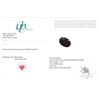 Image 3 : 7.7 ct Certified Brazilian Emerald gemstone ($7,050 Appraisal)