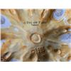 Image 9 : Covered Ceramic Pumpkins A