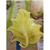 Image 2 : Ceramic Servingware A