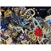 Image 8 : Costume Jewelry  A
