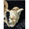 Image 4 : Animal Heads A