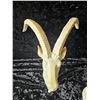 Image 6 : Animal Heads A