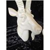 Image 7 : Animal Heads A