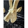 Image 8 : Animal Heads A