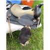 Image 1 : Western Saddle by Western Horse Saddle Co.