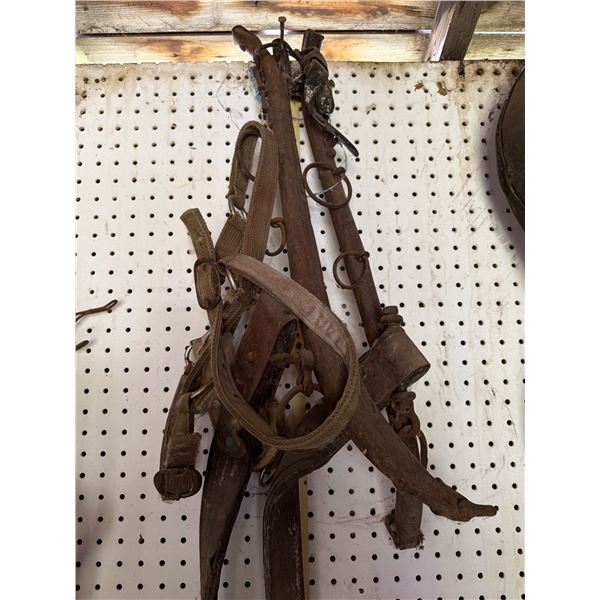 Vintage Leather Horse Tack with Metal Hardware