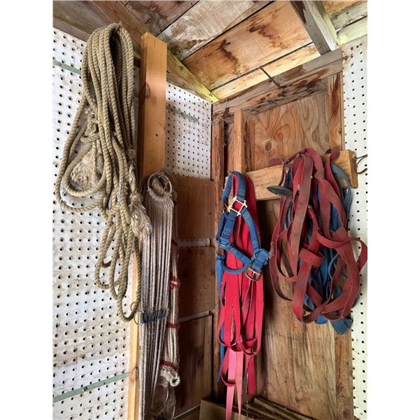 Ropes, Halters, and Straps for Equestrian Use