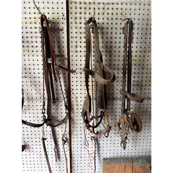 Leather Horse Bridles With Metal Bits