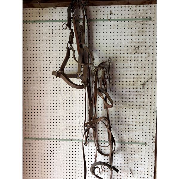 Leather Horse Bridle with Metal Bit and Reins