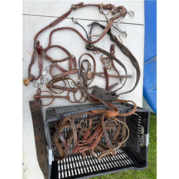 Tack Collection with Leather and Metal Components