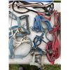 Image 3 : Horse Tack: Leads and Halters